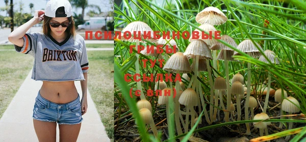 прущая мука Покровск