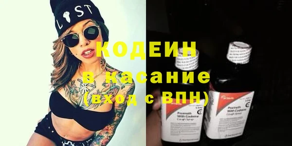индика Покачи