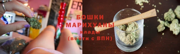 индика Покачи