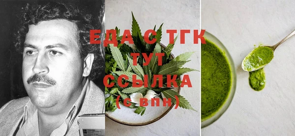 индика Покачи