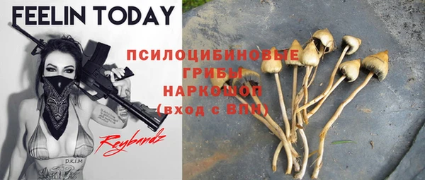 spice Пересвет