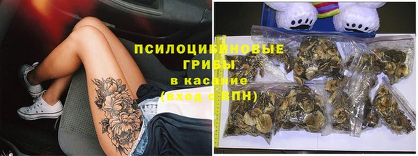 spice Пересвет