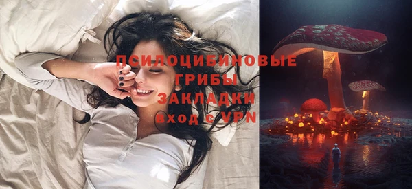 гашик Покров