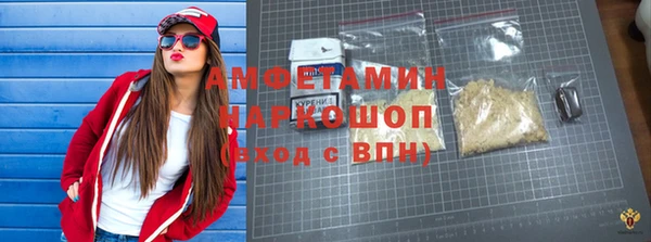 индика Покачи