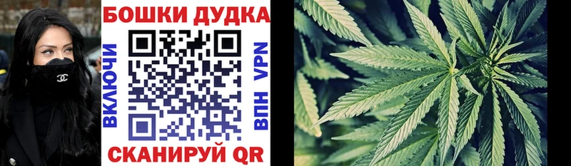 Бошки марихуана Amnesia Торопец